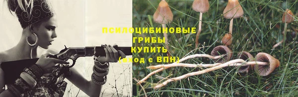 а пвп мука Аркадак