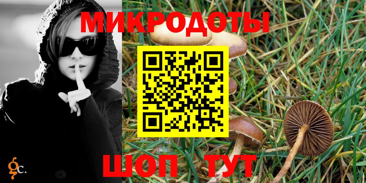 Псилоцибиновые грибы GOLDEN TEACHER  Галлюциногенные грибы Psilocybe  что такое   Вход с VPN  Георгиевск 