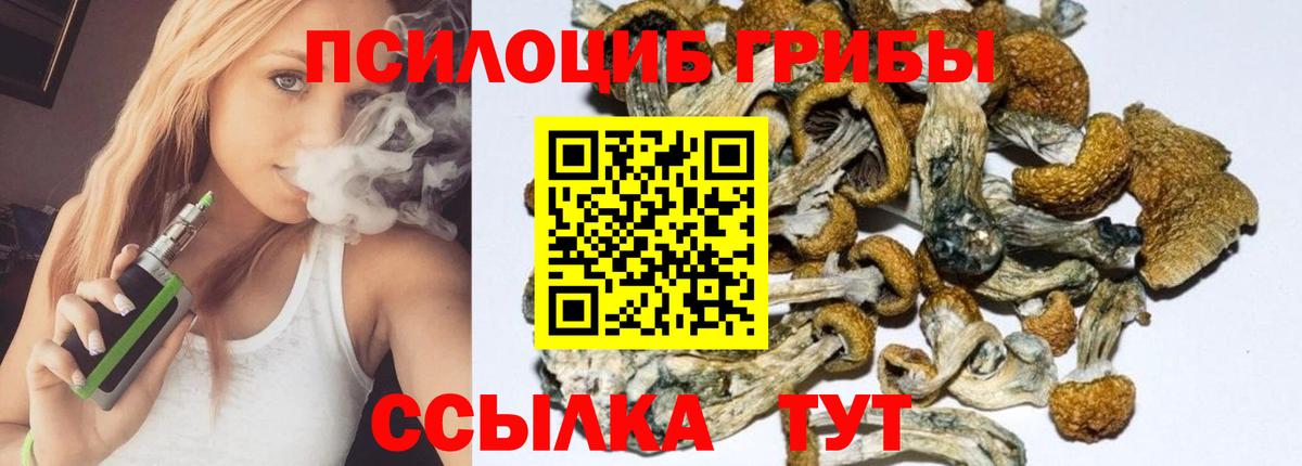 Псилоцибиновые грибы GOLDEN TEACHER Георгиевск